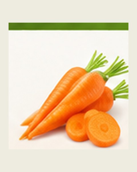 RozPro Veggie Chips — carrot