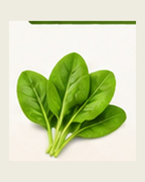 RozPro Veggie Chips — spinach