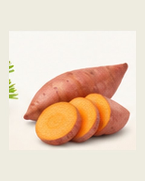 RozPro Veggie Chips — sweet potato